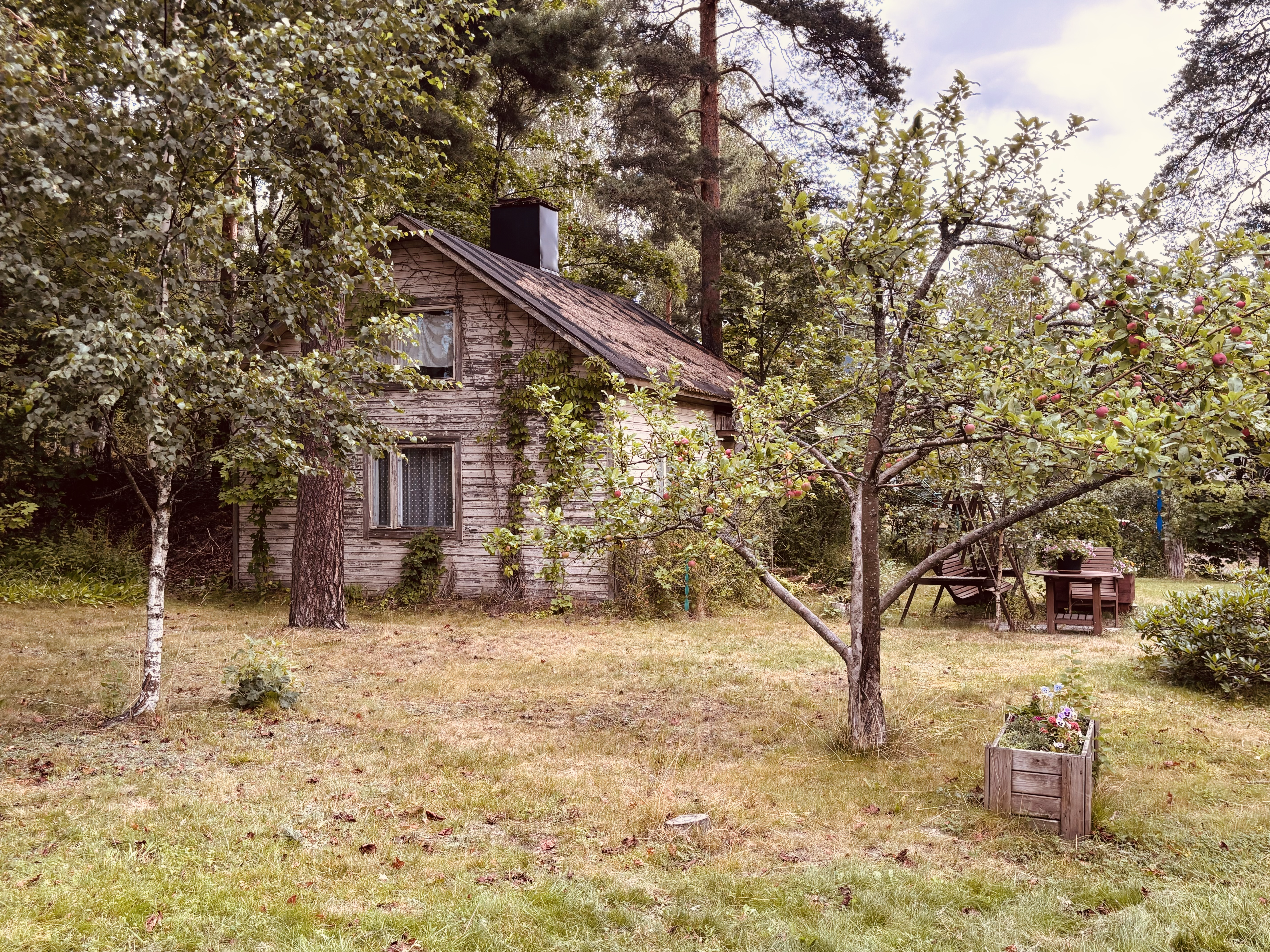 Projektikuva